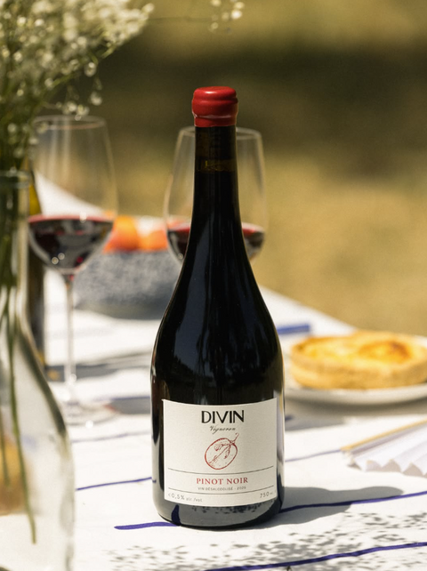 Bouteille vin rouge 