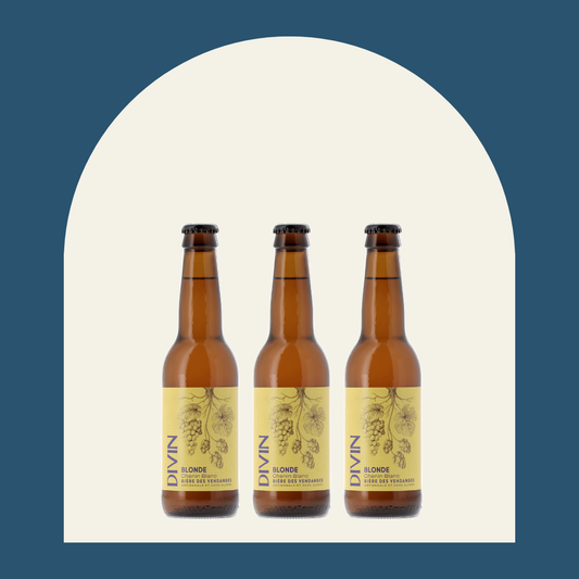 Divin - Golden Ale Chenin Blanc (3 x 33cl)