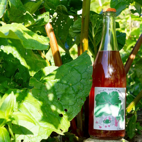 Cul Sec - Souris sous la rhuharbe Le Rosé
