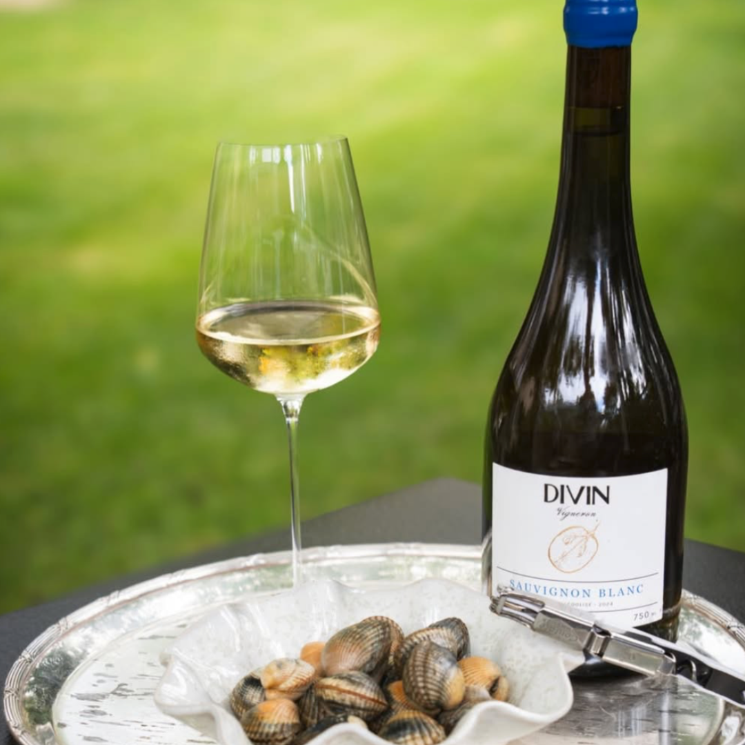 Vins désalcoolisés tranquilles
